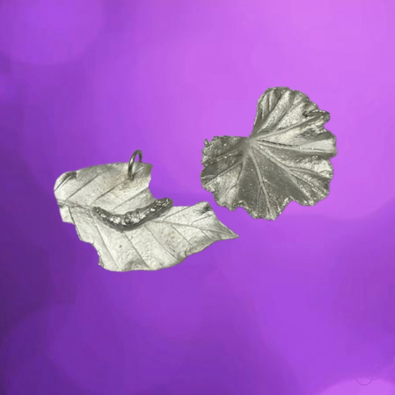Een afgevallen blad en een blaadje van een geranium, beide in zilver